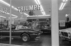 VN Blvd.-MYS-001 <strong>'Triumph'</strong>